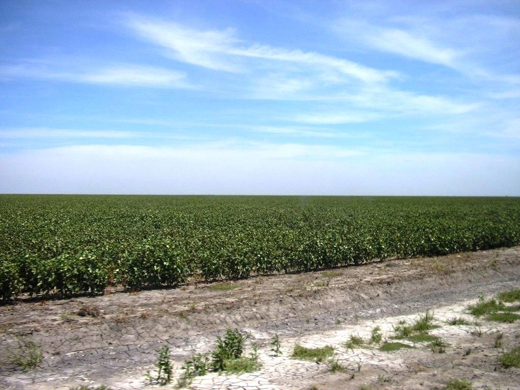 CAMPO PRODUCTIVO en VERA, SANTA FE - ESTANCIA LA LINDA